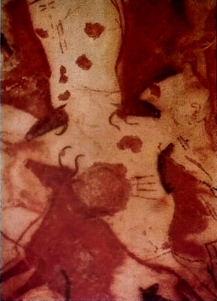 Pittura rupestre nella caverna di Lascaux in Dordogna, Francia (paleolìtìco superiore, circa 35.000 anni fa). Sono rafﬁgurate tre bovídí e un cavallo selvatico con segni magici di trappole.