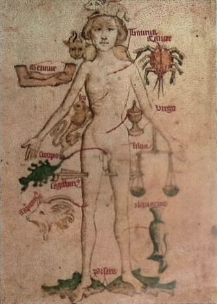 L'uomo zodiacale, miniatura inglese da Guildbook of the Barber Surgeon of York, l'almanacco della corporazione dei medici della città di York (XV sec.). L'immagine mostra, con scrittura e disegno, la corrispondenza tra i segni zodiacali e le parti del corpo umano.