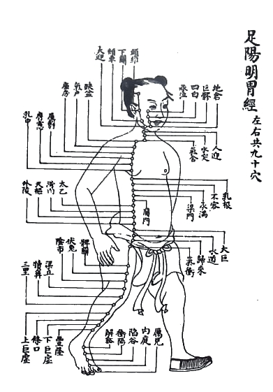 Schema di un meridiano del corpo umano in una stampa cinese. La tavola, tratta da un testo cinese del 1624 (Lejing di Zhang Jebin) rappresenta le parti del corpo in cui circola l'energia.