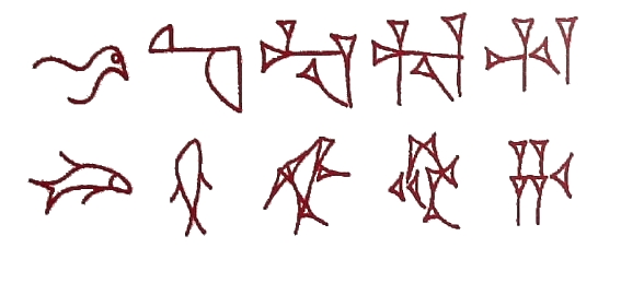 Lo sviluppo di due segni cuneiforrrii (uccello e pesce) dalle pittogtaﬁe originarie.